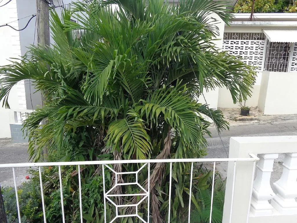 Bethel Court Guesthouse مونتيغو باي