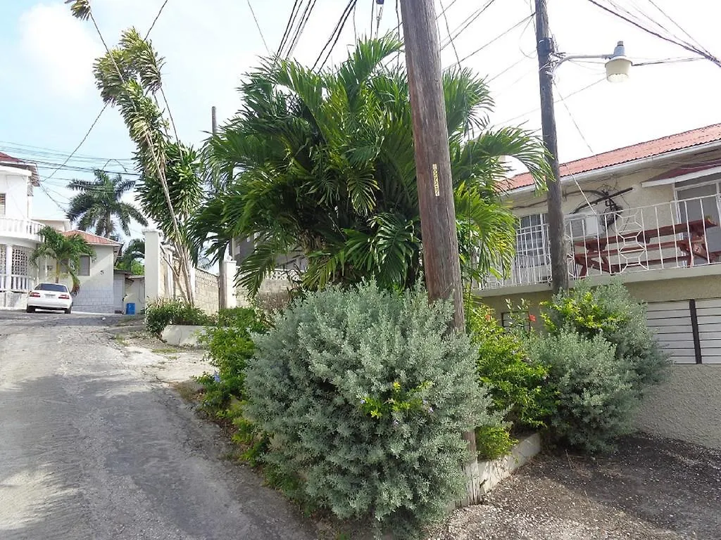 Bethel Court Guesthouse مونتيغو باي 2*,