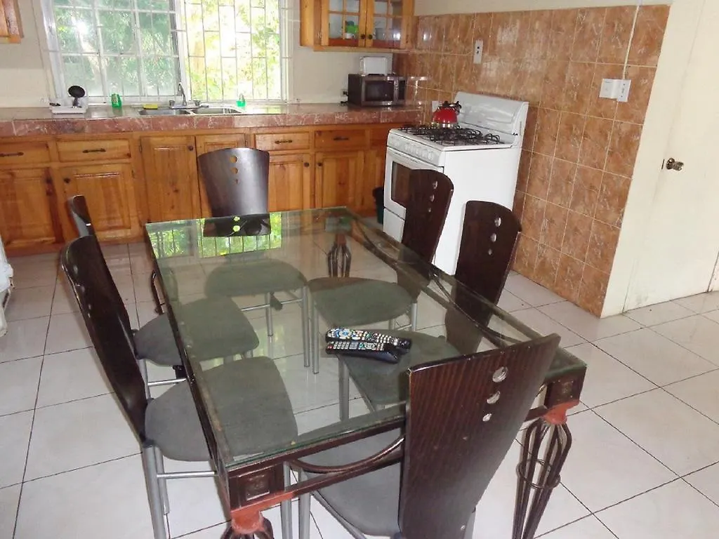 Bethel Court Guesthouse مونتيغو باي 2*,